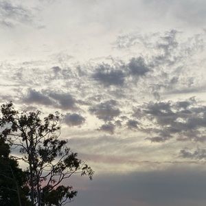 Meet your Posher, Iuliana